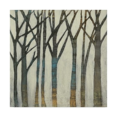 Jennifer Goldberger 'Birch Line I' Canvas Art,35x35